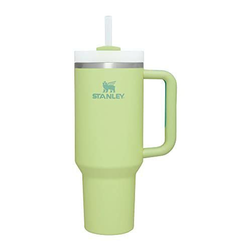 Stanley solid color | Quencher H2.0 | 40oz (Pastel green) - Hover